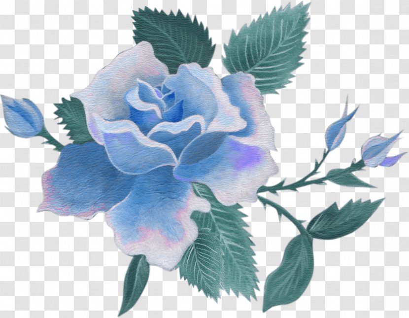 Centifolia Roses Cut Flowers Blue Rose - Floral Transparent PNG
