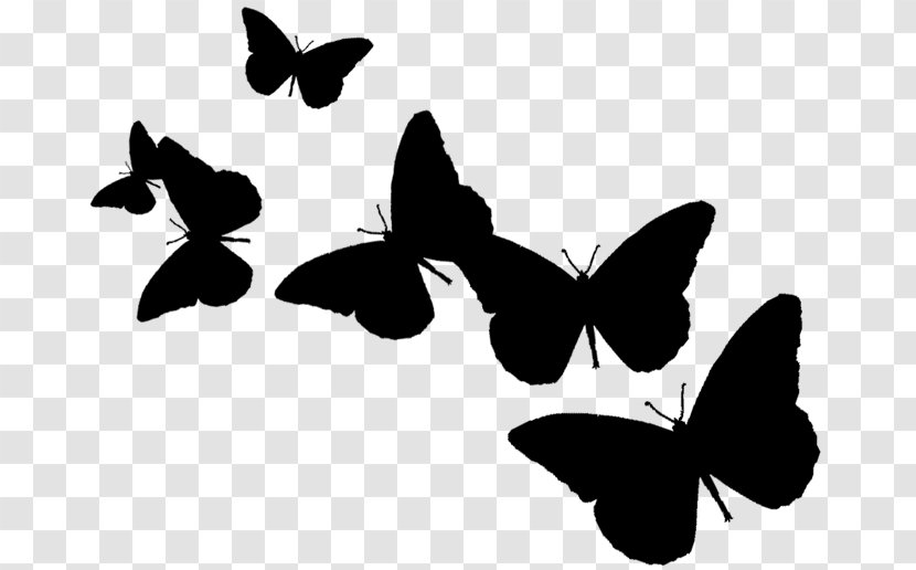 Brush-footed Butterflies Clip Art Kwanzaa Image - Silhouette - Organism Transparent PNG