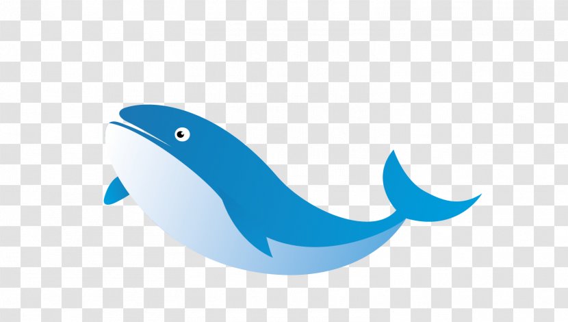 Dolphin Logo Turquoise Illustration - Symbol - Creative Vector Whale Transparent PNG
