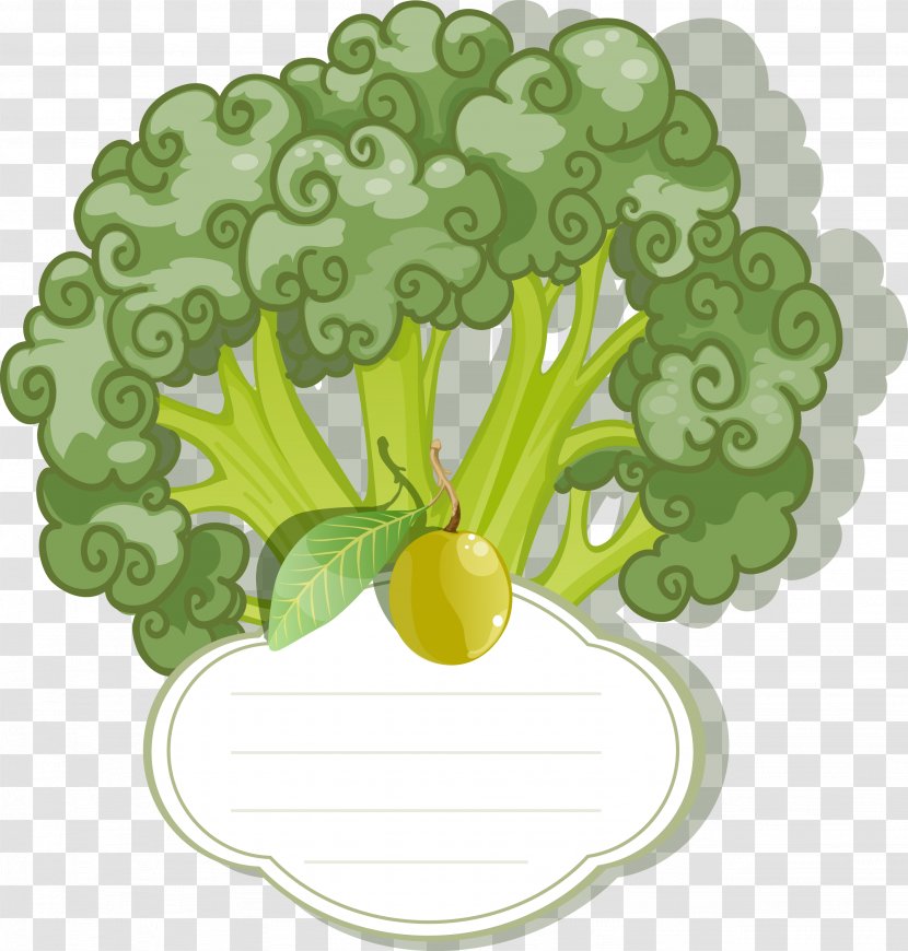 Vegetarian Cuisine Leaf Vegetable Broccoli - Tree - Vector Label Cauliflower Transparent PNG