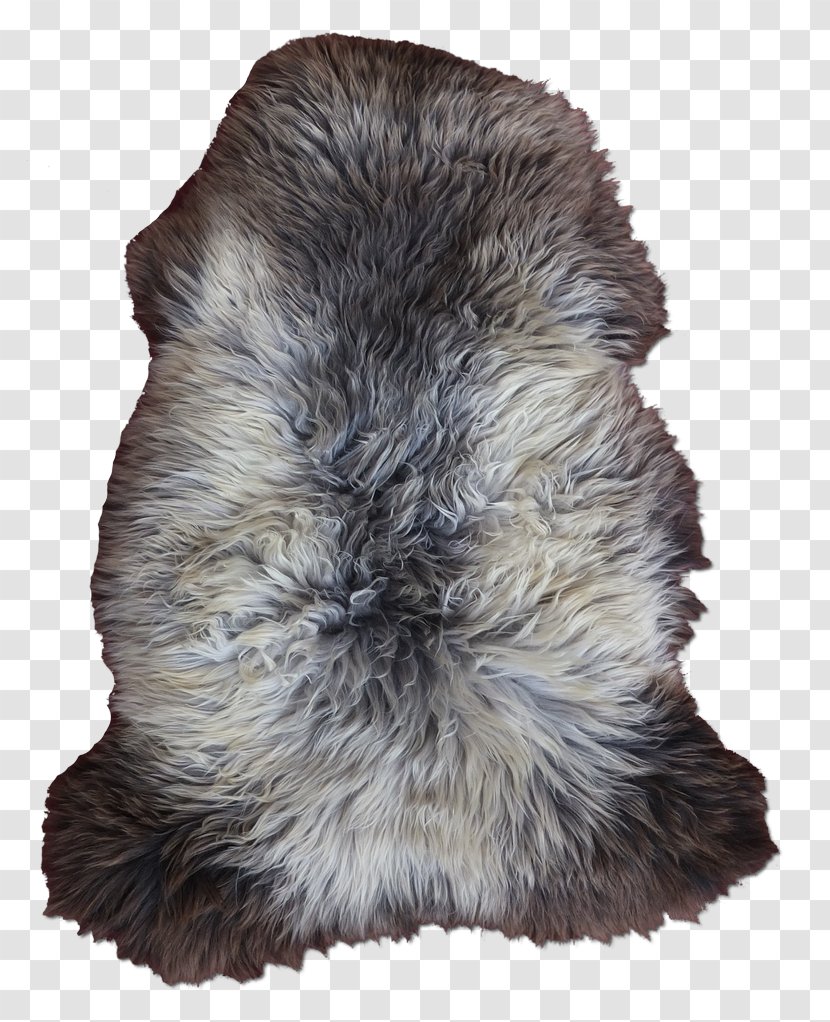 Fur Snout - Furcap - Mouton Transparent PNG