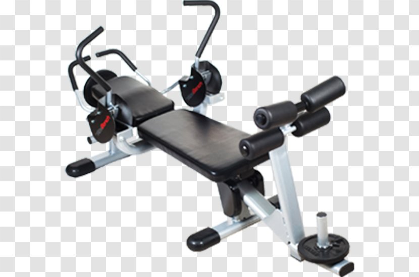 Bench Crunch Abdominal Exercise Equipment Rectus Abdominis Muscle - E F Johnson Company Transparent PNG