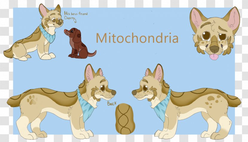 Dog Breed Puppy Snout Tail Transparent PNG