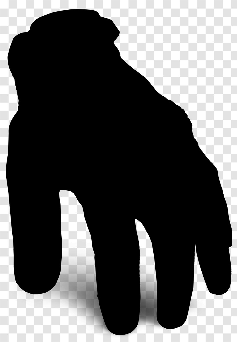 Canidae Bear Dog Black & White - Blackandwhite - M Mammal Transparent PNG
