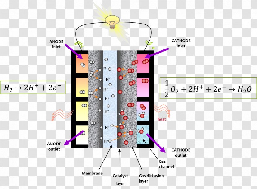 Fuel Cells Proton-exchange Membrane Cell Ionomer - Chemical Energy - Area Transparent PNG