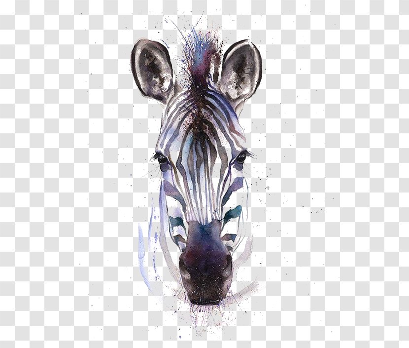 Watercolor Painting Zebra Printmaking Giclxe9e - Drawing Transparent PNG