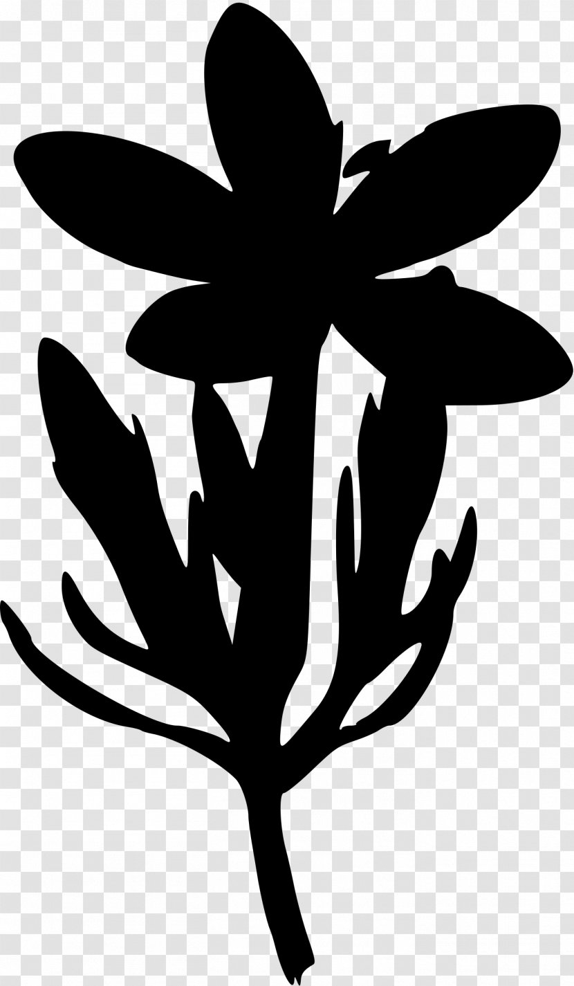Silhouette Gentian Clip Art - Flowering Plant - Silhouettes Clipart Transparent PNG
