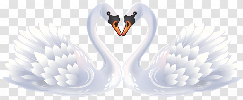 Swan Love Clip Art - Neck - Valentine Swans Clipart Transparent PNG