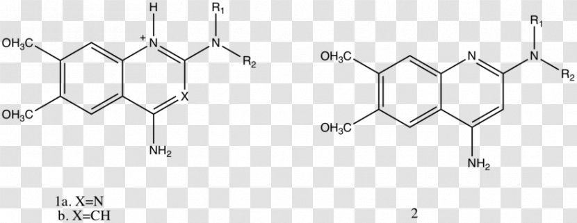 Horseradish Peroxidase Chemistry Fluorine Chloride Electrophile - Diagram - Chlorine Transparent PNG