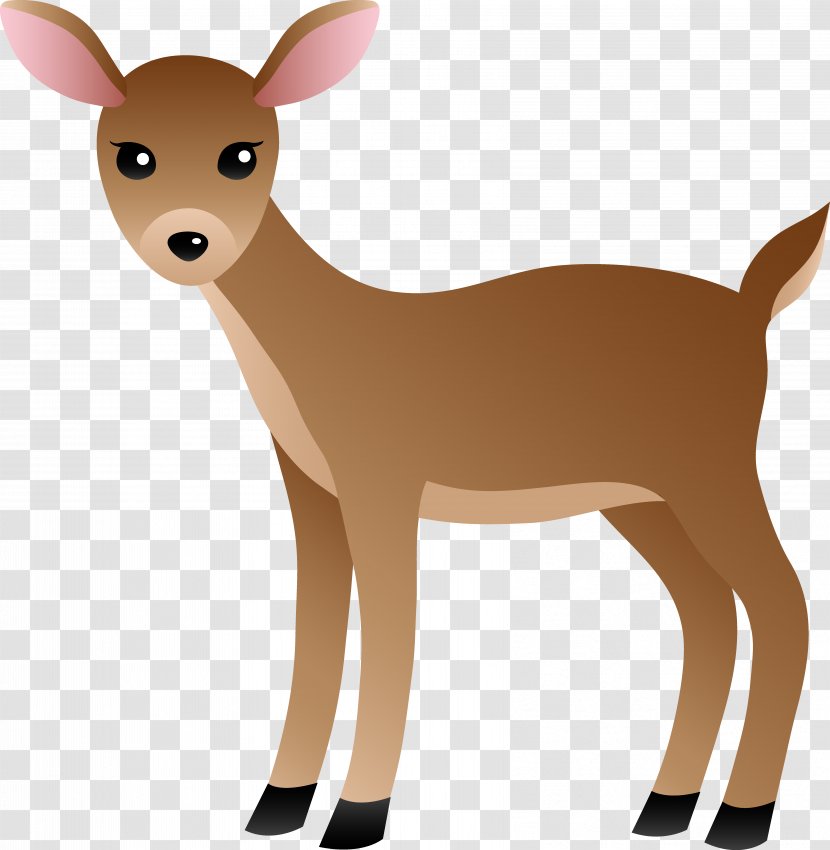 White-tailed Deer Clip Art - Vertebrate - Reading Cliparts Transparent PNG