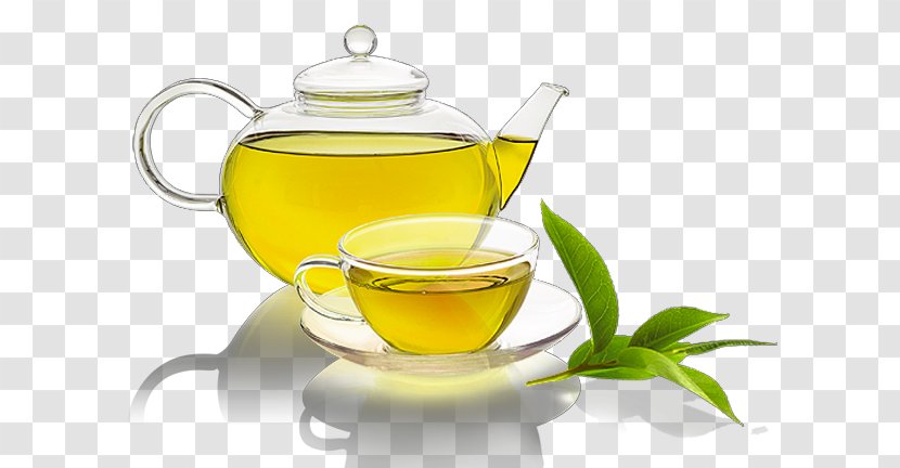 Green Tea Ethiopian Cuisine Juice Catechin Transparent PNG