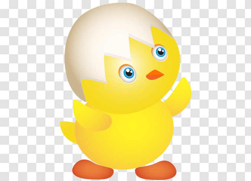 Duck Easter Desktop Wallpaper Clip Art - Ducks Geese And Swans Transparent PNG