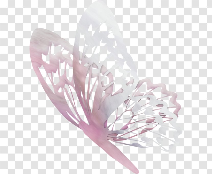 Butterfly Papillon Dog Animal Drawing Bird - Food Transparent PNG