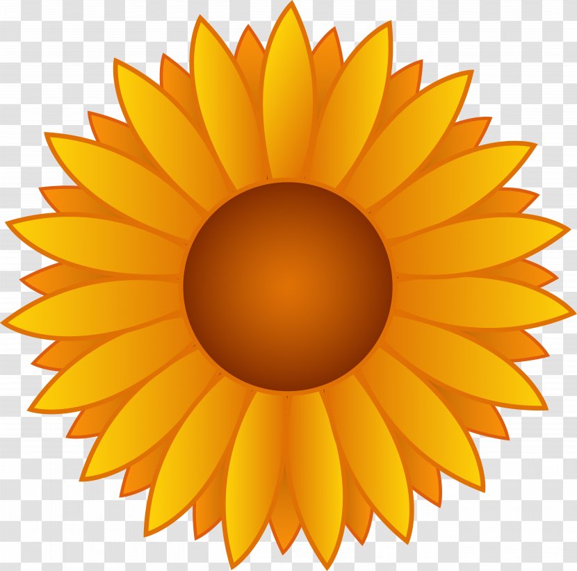 Common Sunflower Free Content Clip Art - Frame - Cartoon Pictures Transparent PNG