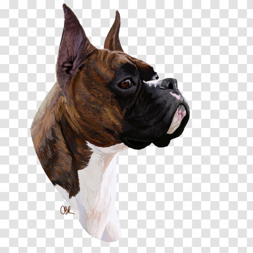 Boxer Dog Breed Valley Bulldog Boston Terrier Toy - Vertebrate Transparent PNG