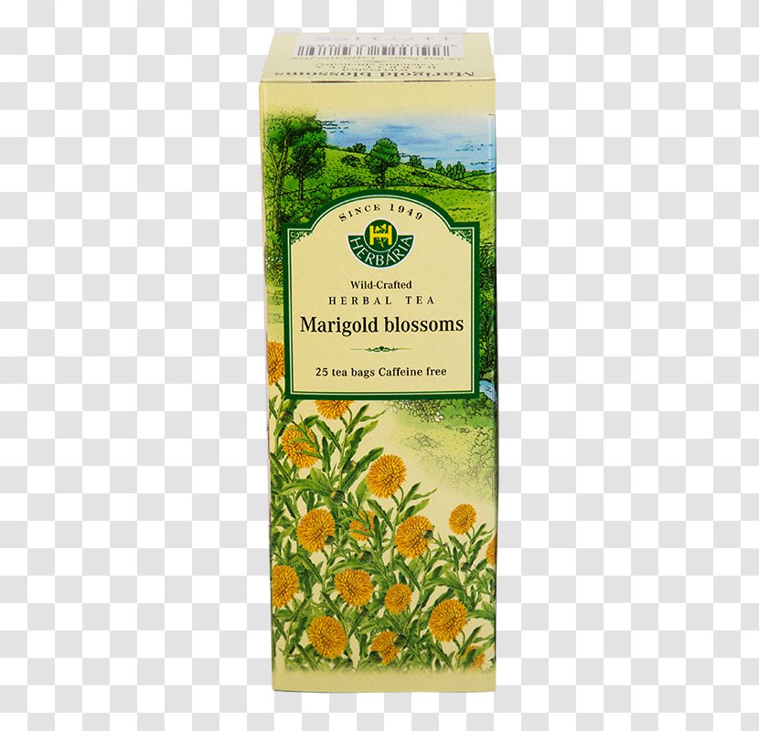 Green Tea Herb Bag Rose Hip - Herbal - Calendula Officinalis Transparent PNG