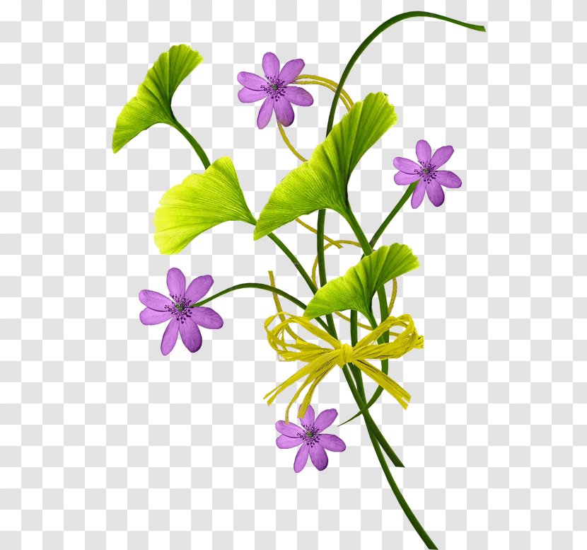 Flower Clip Art - Violet Transparent PNG