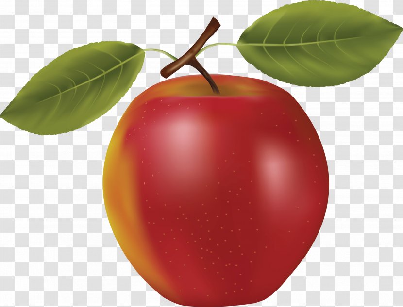 Apple Juice Fruit Clip Art - Natural Foods - Red Image Transparent PNG