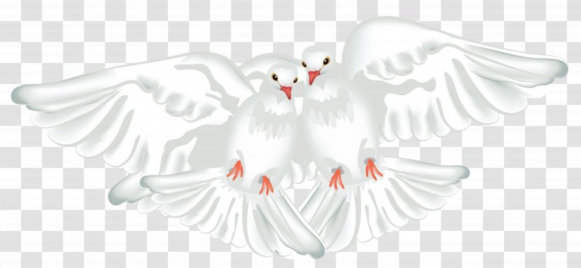 Columbidae Rock Dove Bird Doves As Symbols - Release - Kartikeya Transparent PNG