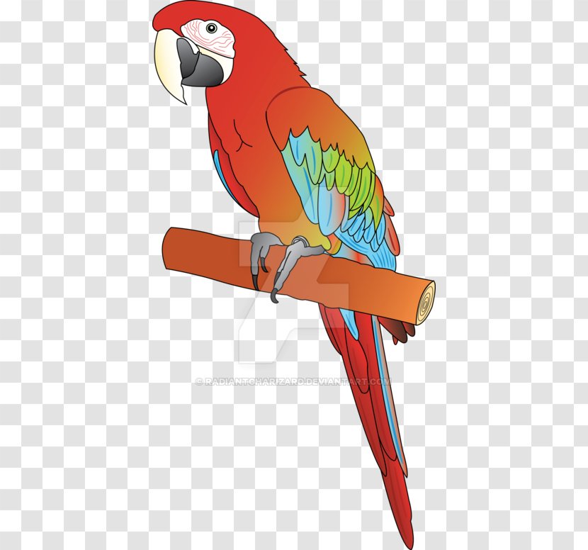 Macaw Parrot Beak Clip Art - Bird - Redandgreen Transparent PNG