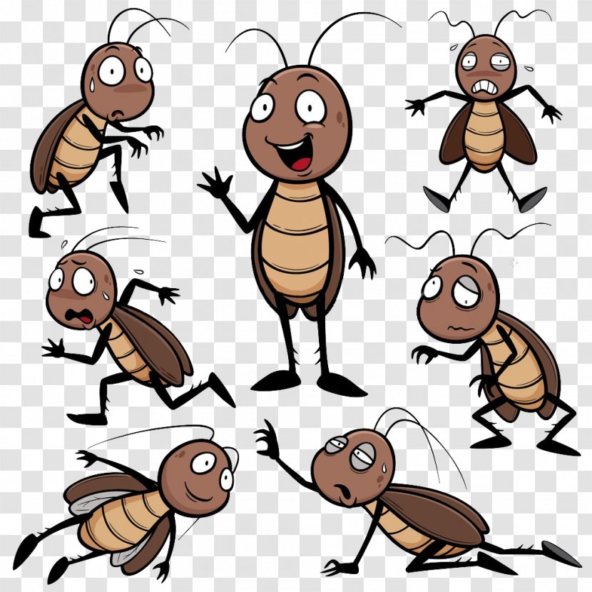 Cockroach Cartoon Drawing Clip Art - Royaltyfree - Cockroaches Of Various Postures Transparent PNG
