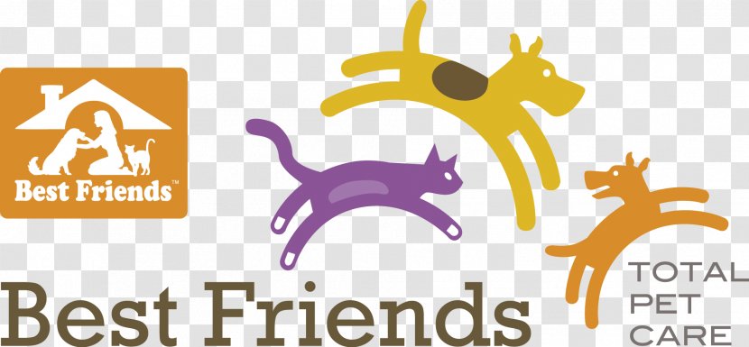 Pet Sitting Dog Best Friends Hotel Cat Transparent PNG