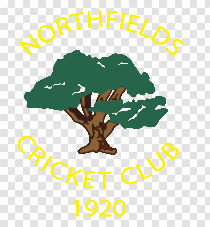 Actonians Sports Club Northfields Logo Human Behavior - Text - Playing Cricket Transparent PNG