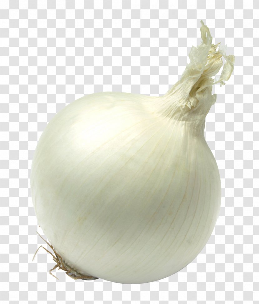 Yellow Onion Garlic Vegetable White - Food - An Transparent PNG