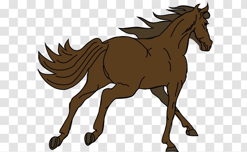 Clydesdale Horse Foal American Quarter Mustang Clip Art - Mare Transparent PNG