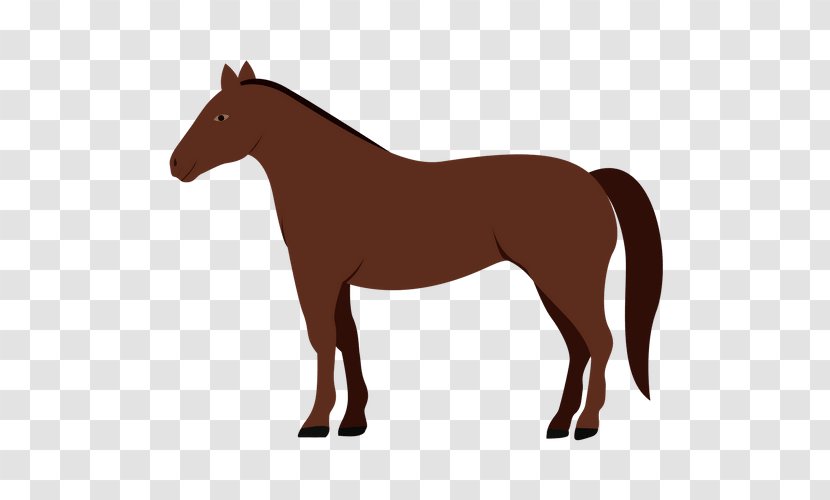 Horse Drawing - Mare Transparent PNG