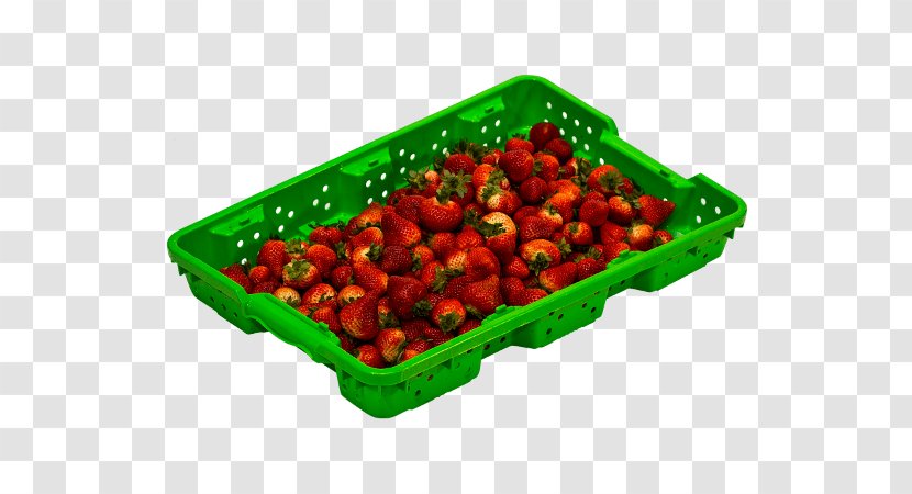 Tabasco Pepper Vegetarian Cuisine Berries Blueberry Food - Peperoncini - Picking Fresh Transparent PNG
