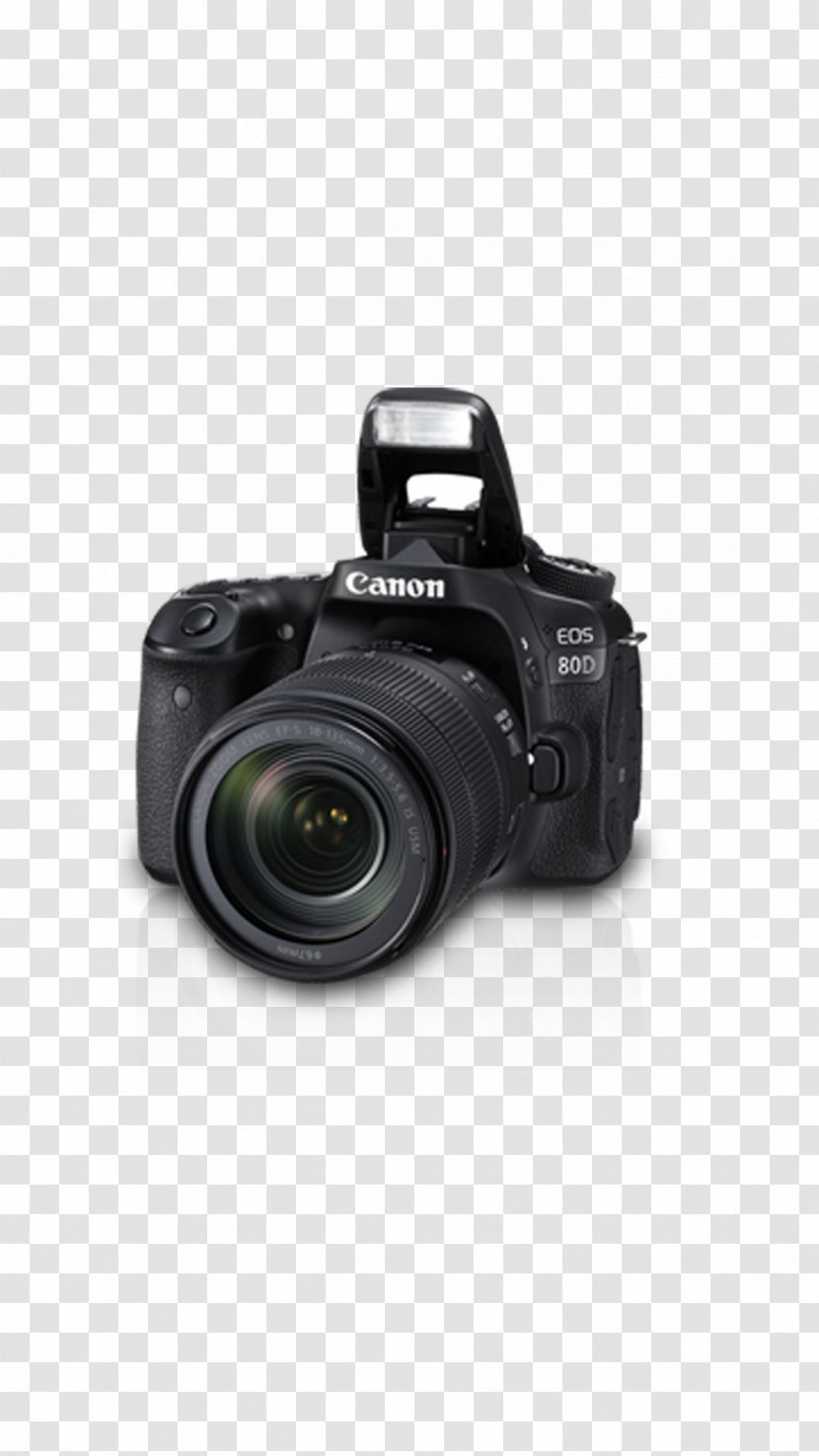 Canon EOS 80D EF-S 18–135mm Lens Digital SLR EF Mount - Camera Transparent PNG