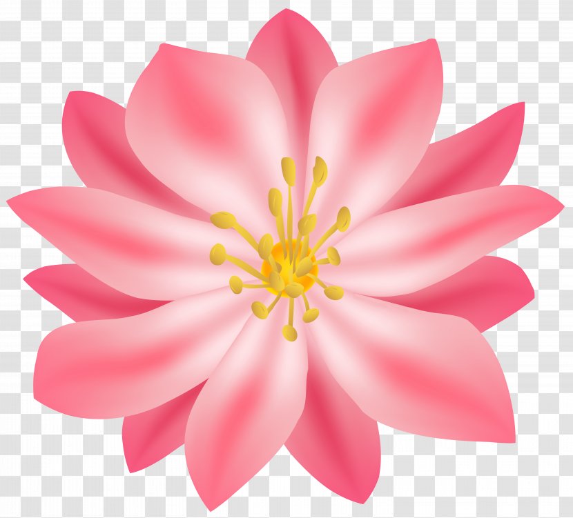 Flower Clip Art - Drink - Image Transparent PNG