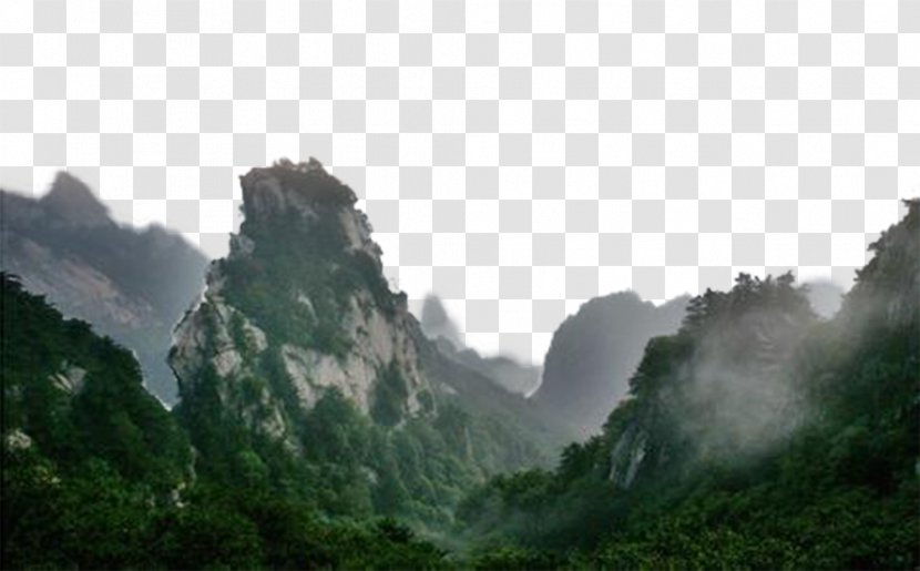 Technical Drawing Fog - Tree - Jungle Mountains Transparent PNG