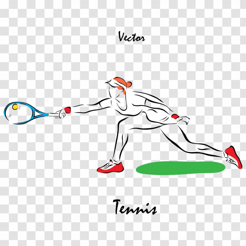 Tennis Sport Athlete Illustration - Cartoon - Vector Player Transparent PNG