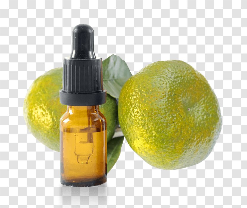 Lemon Orange Essential Oil Liquid Lime - Pharmaceutical Drug Transparent PNG