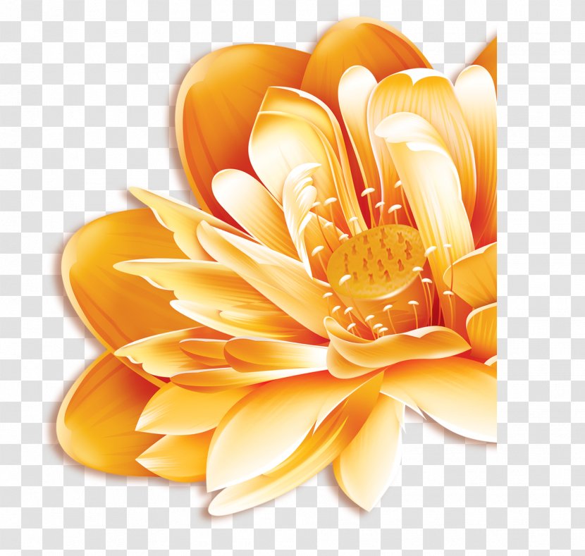 Mooncake Nelumbo Nucifera Gold Download - Orange - Golden Lotus Transparent PNG