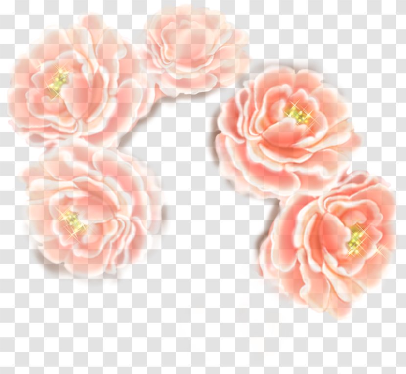 Garden Roses Cabbage Rose Woman Flower Pin Transparent PNG