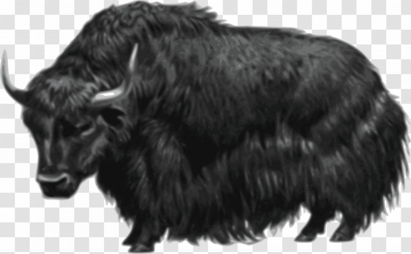 Domestic Yak Muskox Clip Art - Walrus Transparent PNG