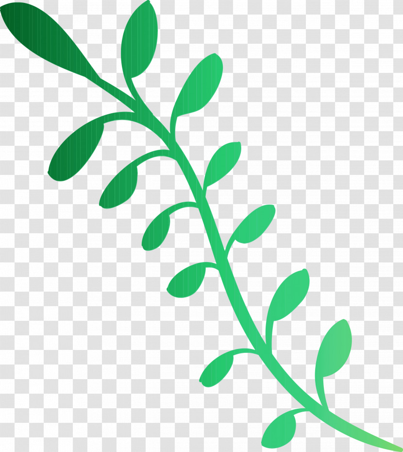Leaf Plant Stem Twig Tree Line Transparent PNG