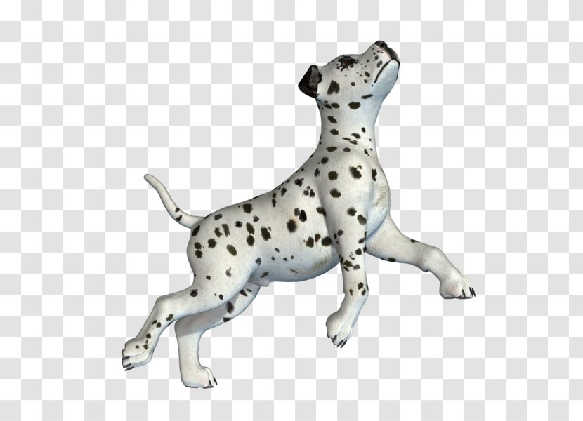 Dalmatian Dog Breed Companion Non-sporting Group Snout - Tail - Nonsporting Transparent PNG