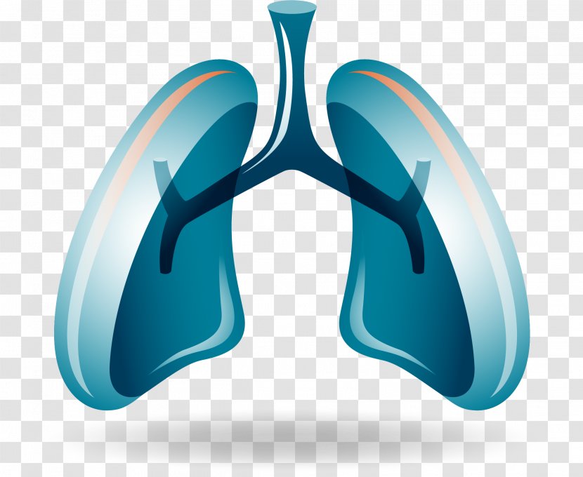 Nivolumab Non-small Cell Lung Cancer - Toxicity Transparent PNG