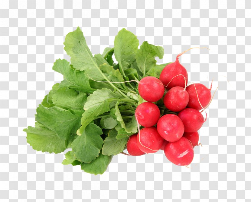 Daikon Raw Foodism Vegetable Fruit - Eating - Carrot Vegetables Transparent PNG