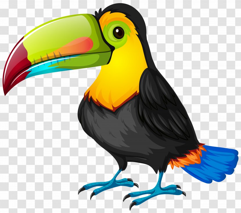 Bird Toucan Parrot Cartoon - Transparent Image Transparent PNG