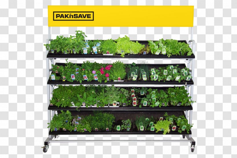 Garden Centre Product Shelf Tree - Basket - Retail Shelves Transparent PNG
