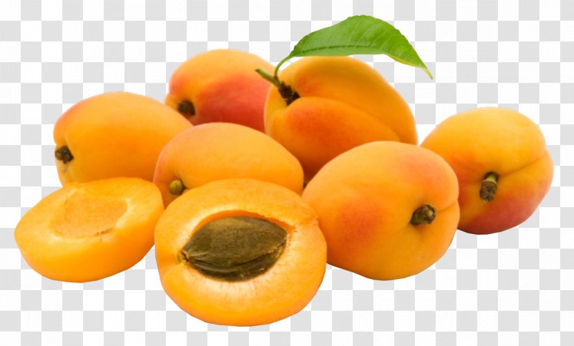 Organic Food Armenian Apricot Kernel Fruit - Ripening - P Transparent PNG