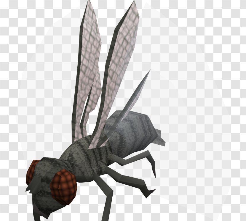 RuneScape Insect Combat Melee Ranged Weapon - Runescape - Fly Transparent PNG