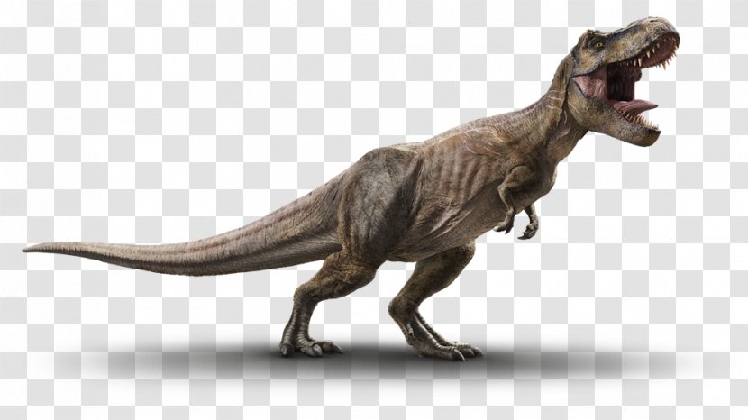 Tyrannosaurus Velociraptor Jurassic Park Triceratops Dinosaur - World Fallen Kingdom Transparent PNG