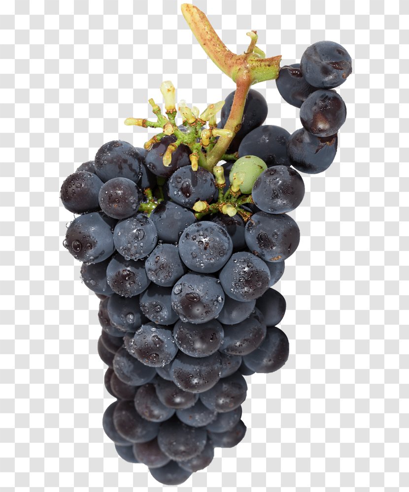 Sultana Wine Grape Gamaret Türtapete - Vitis Transparent PNG