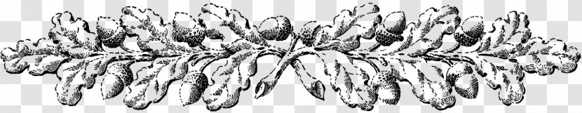 Leaf Acorn Ornament Clip Art - Wing Transparent PNG